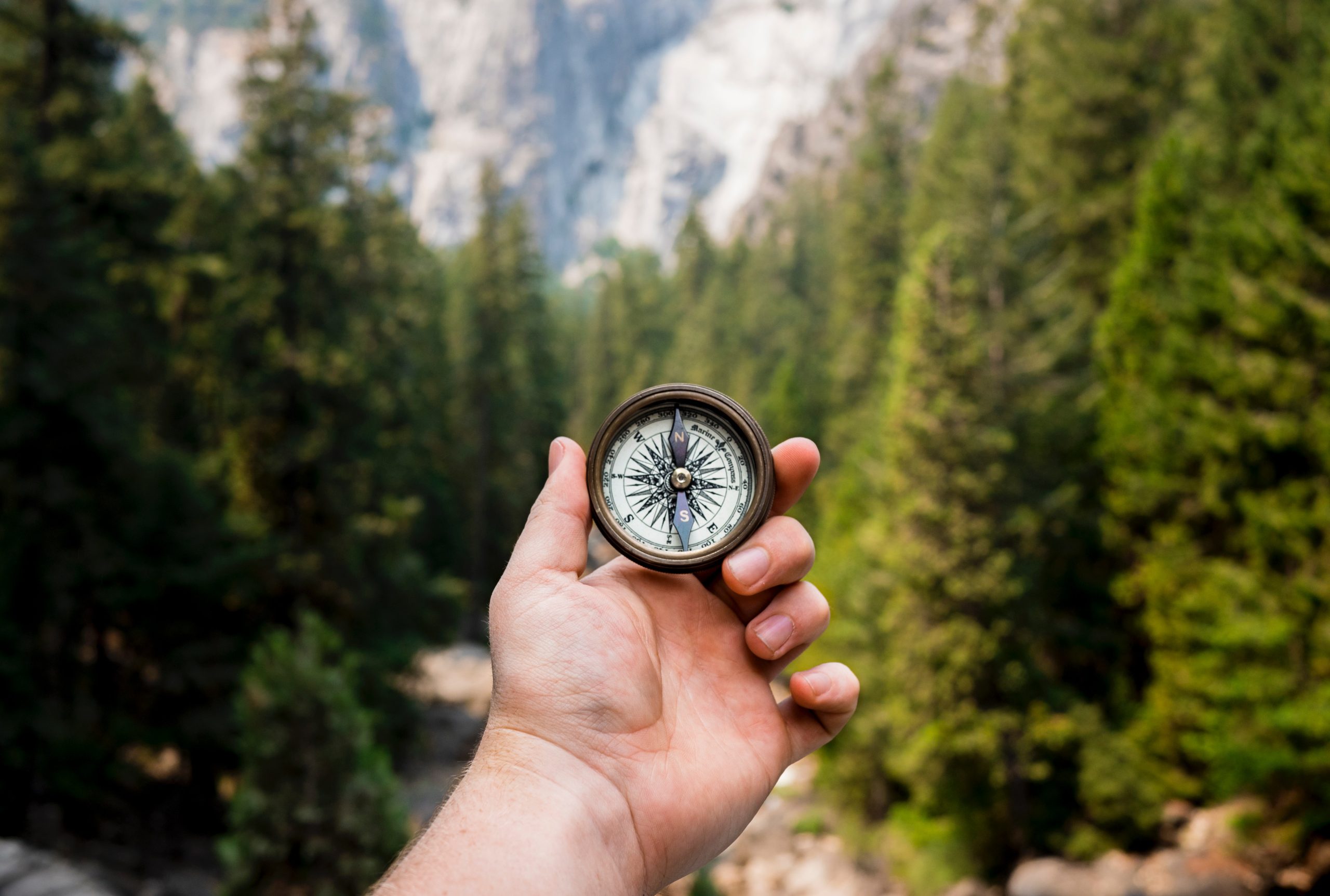 Beyond the Numbers: Business Growth with Purpose